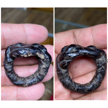 แหวนพิรอดหลวงพ่อม่วง วัดบ้านทวน