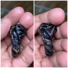 แหวนพิรอดหลวงพ่อม่วง วัดบ้านทวน