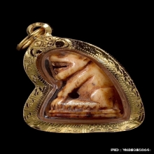 เสือหลวงพ่อสาย วัดคลองด่าน จ.สมุทรปราการ