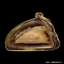 เสือหลวงพ่อหมุน วัดเขาแดงตะวันออก จ.พัทลุง