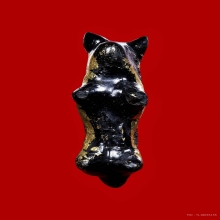 วัวธนูมหาอำนาจ หลวงปู่บัว แก้วคง จ.สระเเก้ว