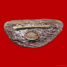 รูปหล่อปู่เสือ หลวงปู่กาหลง รุ่นเเรก ปี 2550