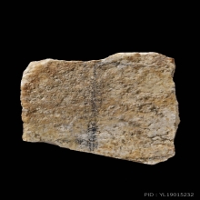 ชิ้นส่วนพระบางขุนพรหม