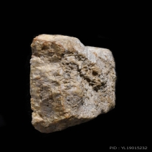 ชิ้นส่วนพระบางขุนพรหม