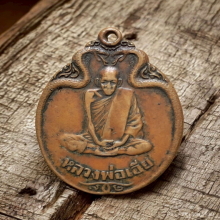 เหรียญงูเล็ก หลวงพ่อเอีย วัดบ้านด่าน ปี 2521