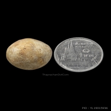 ลูกอมมหากัณฑ์หลวงพ่อคงวัดบางกะพ้อม