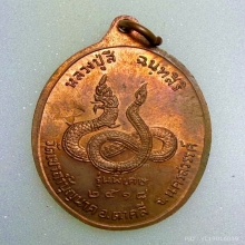 พระเหรียญ พญานาค ปู่สี ผิวไฟแดงๆ