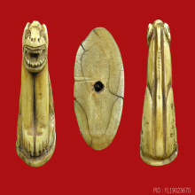 เสือ ลพ.ปาน วัดคลองด่าน ( ออกวัดกลาง) 