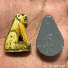 เสือ ลพ.ปาน วัดคลองด่าน ( ออกวัดกลาง) 