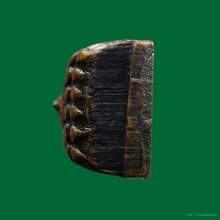 หลวงปู่ทวดหลังหนังสือ ปี24 กรรมการ