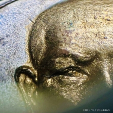 2กษัตริย์ รุ่นถิ่นกำเนิด(กรรมการ) หลวงปู่แหวน ปี2520 สวยแชมป