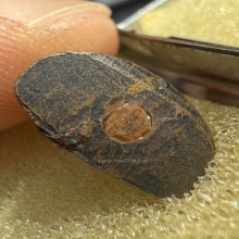 รูปหล่อกายเนื้อ หลวงปู่เดินหน อิเกสาโร