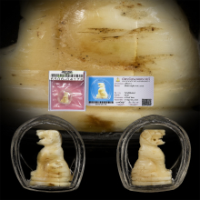 เสือหลวงปู่ทิม ออกวัดโพธิ์สัมพันธ์