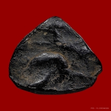 พระหลวงพ่อนุ่ม วัดนางใน