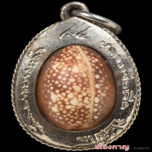 เบี้ยเงินหูเดียว หลวงปู่เจือ วัดกลางบางเเก้ว ปี50