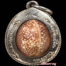 เบี้ยเงินหูเดียว หลวงปู่เจือ วัดกลางบางเเก้ว ปี50