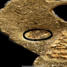 ครุฑ อ.วราห์ มหาบารมีปลดหนี้