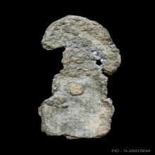 พระนาคปรก พิมพ์พุงป่อง เนื้อชินเงิน กรุวัดพระศรีฯ จ.ลพบุรี