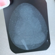 พระปิดตาจัมโบ้2 องค์ลองพิมพ์ หลวงปู่โต๊ะ วัดประดู่ฉิมพลี