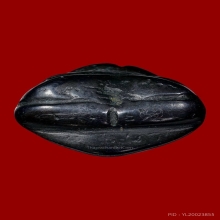 ปิดตาหลวงปู่ดี วัดบ้านยาง