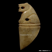 เสือกระดูกแกะหลวงพ่อเรือน วัดบางเหี้ย จ.สมุทรปราการ