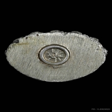 กริ่งอรัญวัตรเนื้อเงิน ลป.นาค วัดหนองโปร่ง ปี2538 จ.สระบุรี