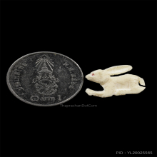 กระต่าย งาแกะ หลวงพ่อหอม วัดชากหมาก