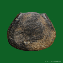 นางกำแพง