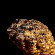 ตะกรุดหนังหน้าผากเสือ หลวงพ่อเต๋ วัดสามง่าม จ.นครปฐม