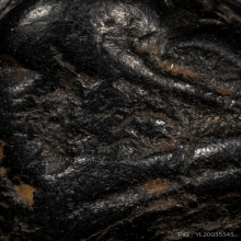 พระปิดตา หลวงพ่อแก้ว วัดเครือวัลย์