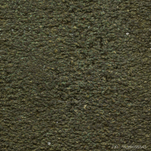 พระลีลา เนื้อเมฆสิทธิ์ พระอุปัชฌาย์ตัน วัดอู่ตะเภา  