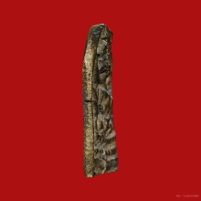 เหรียญหล่อชินราช หลวงพ่ออุย วัดบ้านกร่าง ปี2463 (รุ่นแรก)