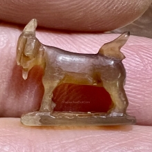 สุดยอดเครื่องรางมหาเสน่ห์ แพะ สาริกา ตัวเล็กสวยสมบูรณ์สุดๆ