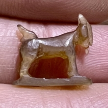 สุดยอดเครื่องรางมหาเสน่ห์ แพะ สาริกา ตัวเล็กสวยสมบูรณ์สุดๆ