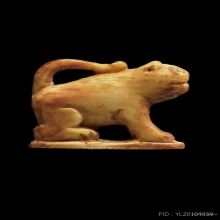 เสือหลวงพ่อเฮง วัดเขาดิน จ.นครสวรรค์