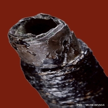 ตะกรุดหลวงพ่อปาน วัดคลองด่าน จ.สมุทรปราการ เนื้อเงิน ยุคต้น