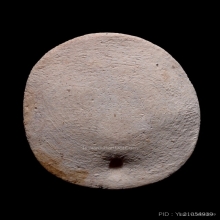 พระผงนางกวักพิมพ์ไข่ปลาจุด หลวงปู่เผือก วัดกิ่งแก้ว ปี 2496