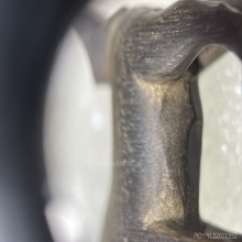 แพะ หลวงพ่อ่ำ วัดหนองกระบอก