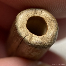 ตะกรุดไม้รวก หลวงปู่ศรี วัดพระปรางค์จ.สิงห์บุรี 