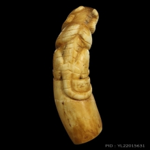 เสือหลวงพ่อคง แกะจากเขี้ยวหมูป่า สภาพสวยมาก หายาก สร้างน้อย