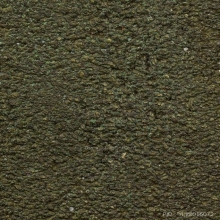 พระเนื้อเมฆสิทธิ์ อุปประชาตัน วัดอู่ตะเภา