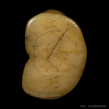 >>>..,เสือหลวงพ่อสาย วัดคลองด่าน กระดูกแกะ ดูง่าย