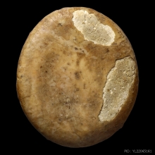 พระคู้สลอด พิมพ์จันทร์ลอย ลงกรุ