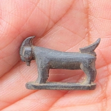 แพะหลวงพ่ออ่ำ วัดหนองกระบอก จ.ระยอง