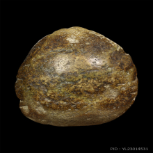 พระหลวงปู่เปีย วัดค้างคาว จ.นนทบุรี