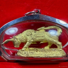 วัวธนูคะนองฤทธิ์ หลวงปู่กาหลง เขี้ยวแก้ว รุ่นเเรก