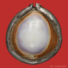 >>>..,เบี้ยแก้ หลวงพ่อนุ่ม วัดนางใน ไซด์เล็ก น่ารัก