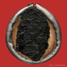 >>>..,เบี้ยแก้ หลวงพ่อนุ่ม วัดนางใน ไซด์เล็ก น่ารัก