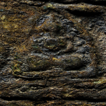 หลวงพ่อหม่น วัดพระยาปลา