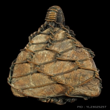 หลวงพ่อโต กรุบางกระทิง พิมพ์สมาธิ สภาพสวยถักเชือกสุดคลาสสิค